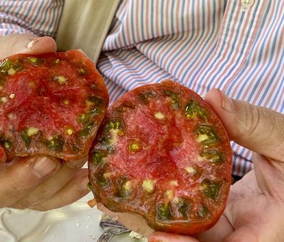 Al corte. J.C. CAPEL