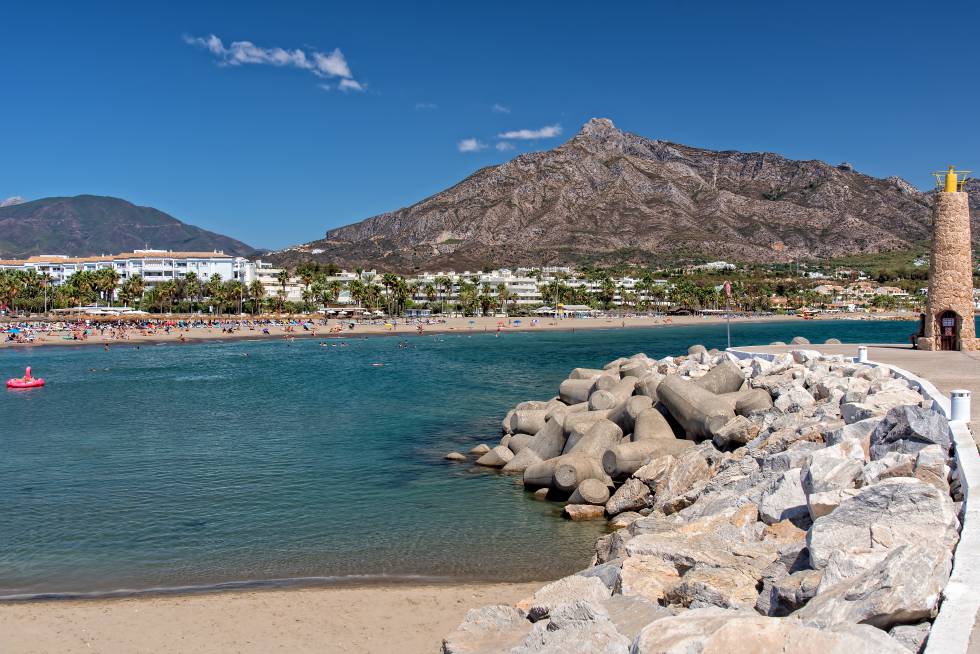 Sierra Blanca alberga una pequeña muestra de pinsapos, coníferas protegidas, que se pueden descubrir en rutas senderistas por este balcón al Mediterráneo.