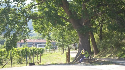 Evaristo, sentado en un banco y con su estaca, descansando de su paseo matutino en los montes alaveses en una imagen del documental.