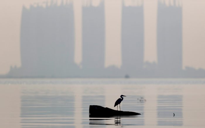 OMS endurece reglas sobre contaminación del aire