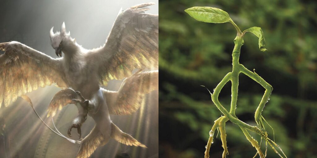 Animales fantásticos: las 10 mejores criaturas del caso de Newt, clasificadas