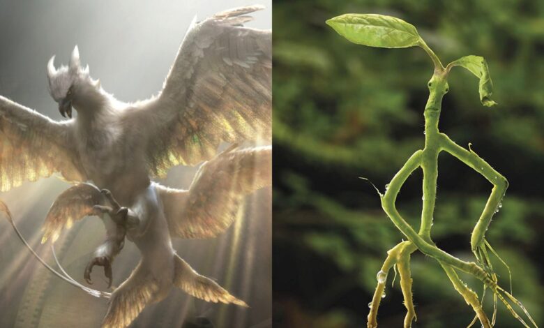 Animales fantásticos: las 10 mejores criaturas del caso de Newt, clasificadas