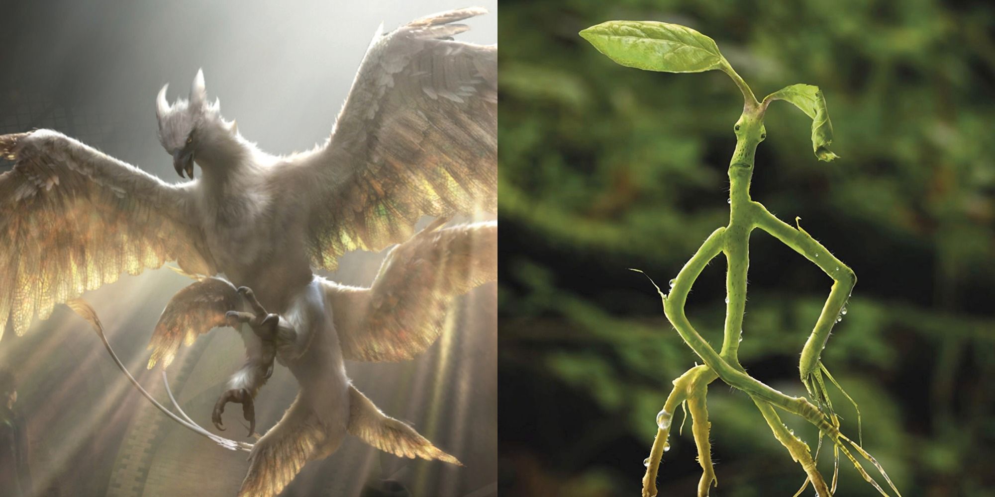 Animales fantásticos: las 10 mejores criaturas del caso de Newt, clasificadas