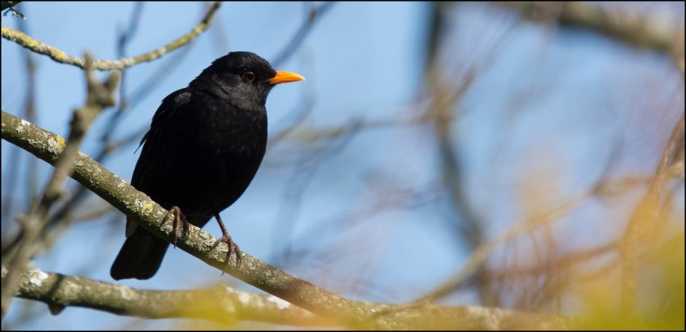 Blackbird.AI obtiene $ 10 millones para ayudar a las marcas a contrarrestar la desinformación