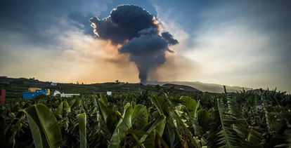 Nube provocada por el volcán de Cumbre Vieja.