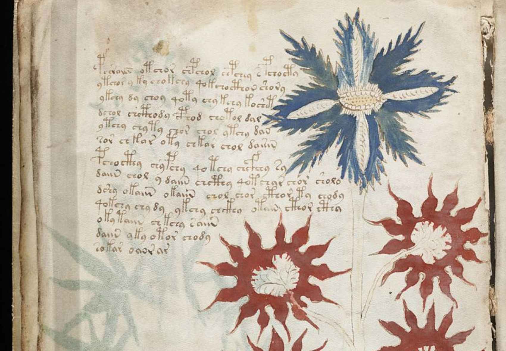 El Manuscrito Voynich, uno de los libros más misteriosos de la historia