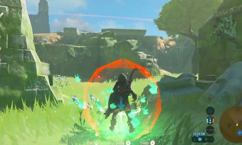 El jugador de BOTW aparece en la vista en primera persona sin ciclo maestro