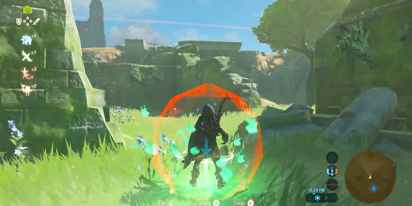 El jugador de BOTW aparece en la vista en primera persona sin ciclo maestro