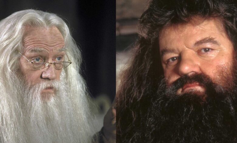 Harry Potter: 9 veces que los Gryffindors fueron villanos |