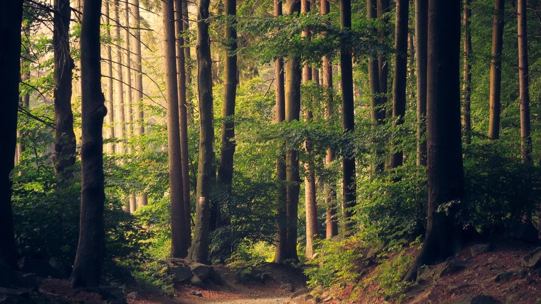 Jorge Rey, el niño de 14 que predice el tiempo con un método ancestral, revela cómo será 2022