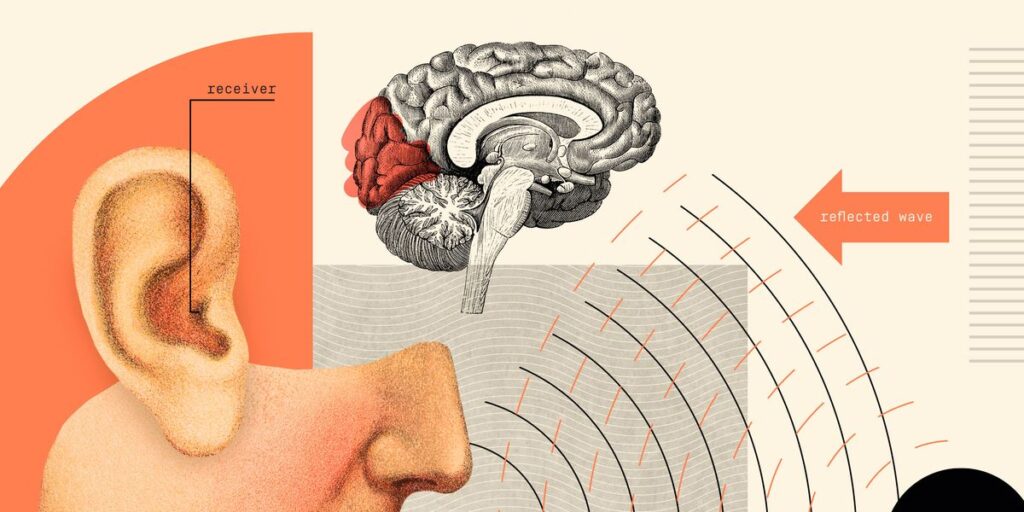 Los humanos podrían desarrollar un sexto sentido, dicen los científicos