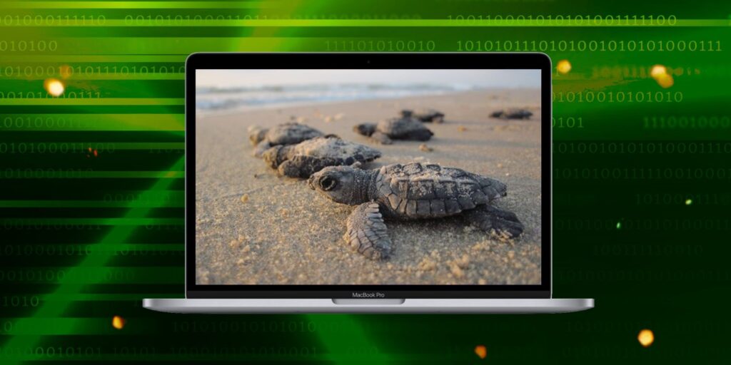 Mac desacelera? Cómo encontrar qué aplicaciones utilizan la mayor cantidad de memoria