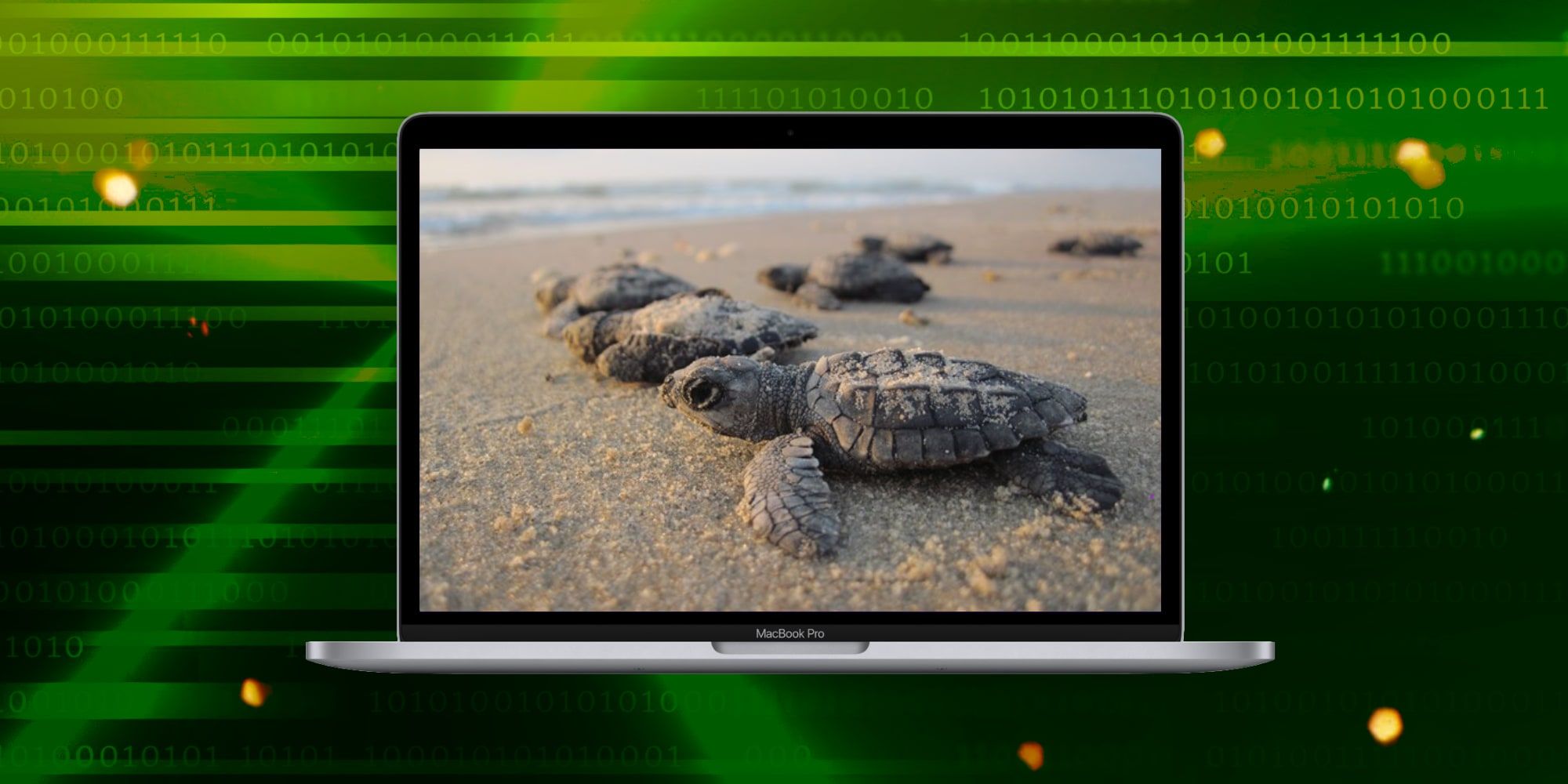 Mac desacelera? Cómo encontrar qué aplicaciones utilizan la mayor cantidad de memoria