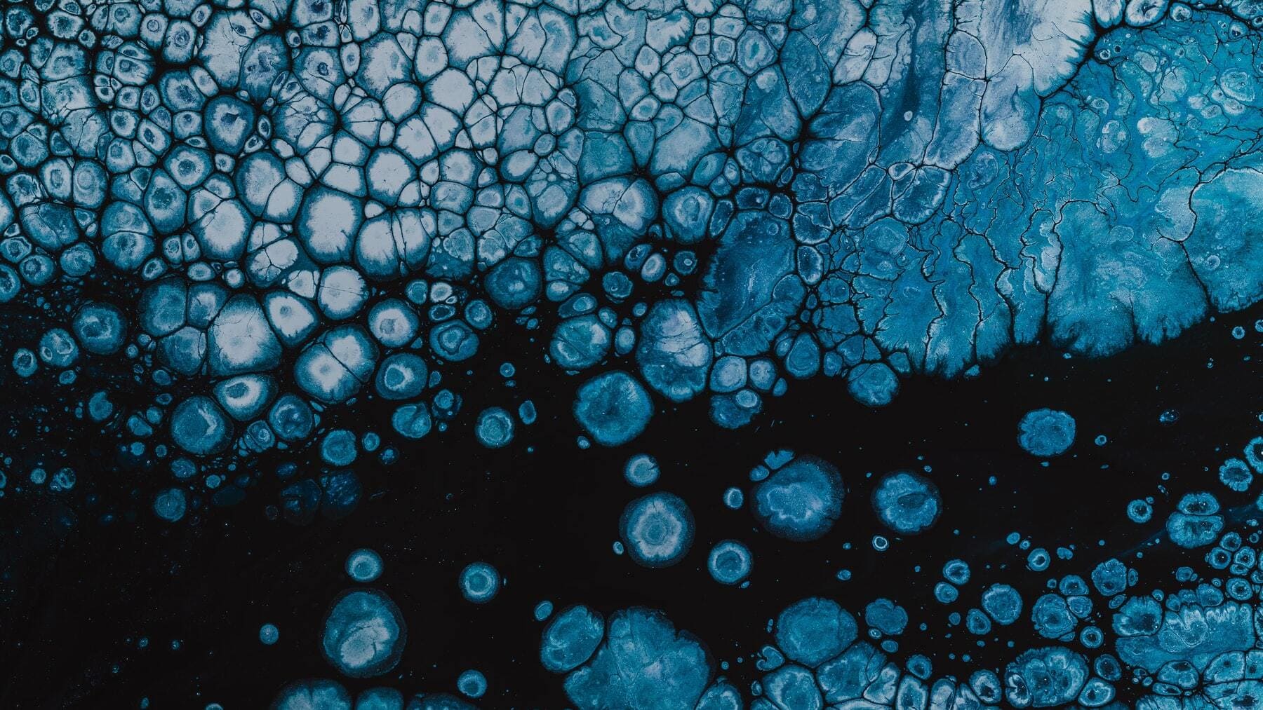 Postulados de la teoría celular