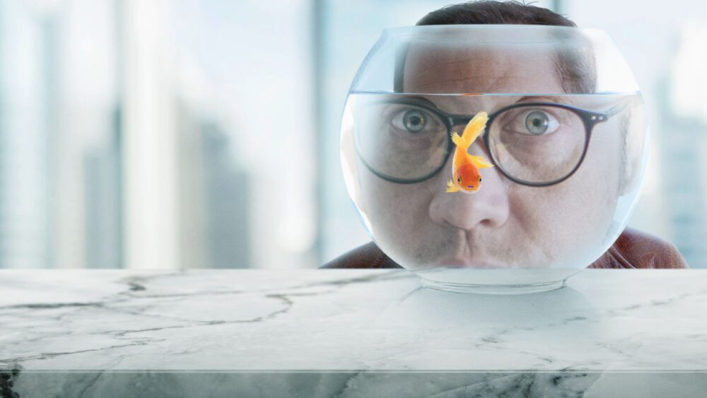 Real Rob Temporada 3 llegando a Netflix