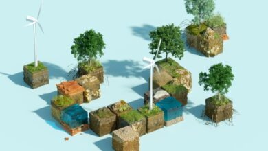 Salesforce alcanza el uso de energía Net Zero, anuncia actualizaciones a Sustainability Cloud