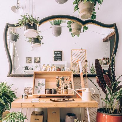 Planthae es el gabinete botánico creado por Elena Páez en La Latina.