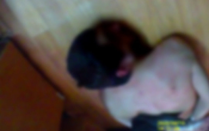 Filtran miles de videos y documentos sobre torturas en cárceles de Rusia | Video