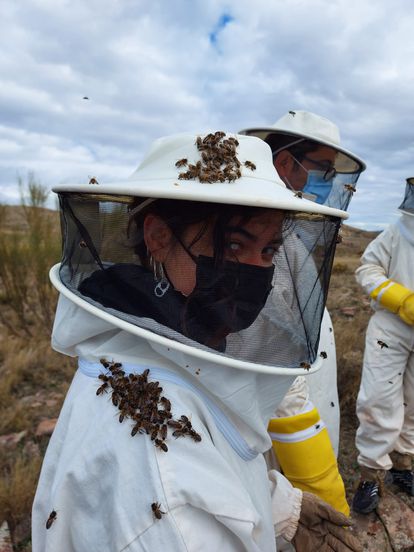 Paula Bermejo, que ahora trabaja en una empresa de plantas aromáticas, entiende que los jóvenes tienen que adquirir conocimientos de los apicultores veteranos. Y luego perpetuar el oficio. “Sí sería una salida laboral para nosotros. Hoy no hay muchas personas que desempeñen este trabajo”, asegura.