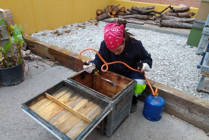 Bermejo limpia una colmena con una pistola de agua a presión.