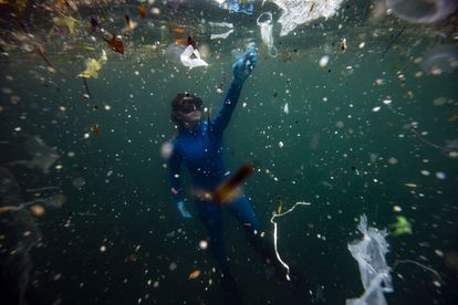 Más del 80% de los residuos que Europa arroja a sus mares son plásticos. 
