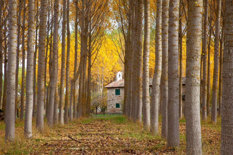 Vallespinoso de Aguilar, cerca de Aguilar de Campoo.