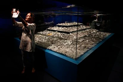 Imagen de la exposición 'El último viaje de la fragata Mercedes' en el Museo Naval de Madrid, en 2014, con el patrimonio recuperado del barco.