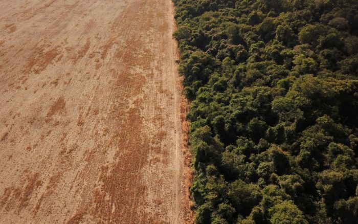 Cambio climático desplazará a millones de personas de África Oriental, prevé Banco Mundial