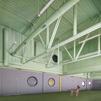 El suelo está cubierto con una capa de césped artificial dotado de un sistema de amortiguación que protege las patas de los perros que entrenan en Educan.