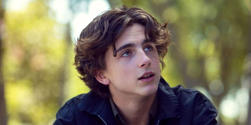 A Timothée Chalamet se le dijo que nunca hiciera una película de superhéroes