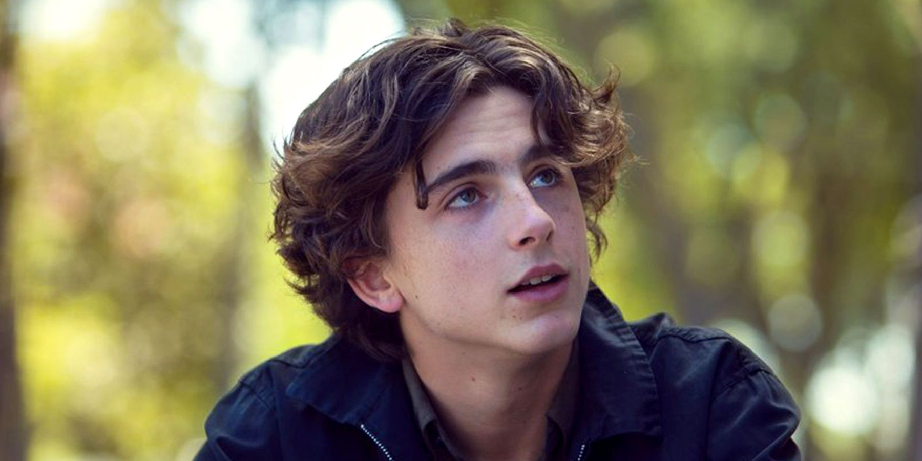 A Timothée Chalamet se le dijo que nunca hiciera una película de superhéroes