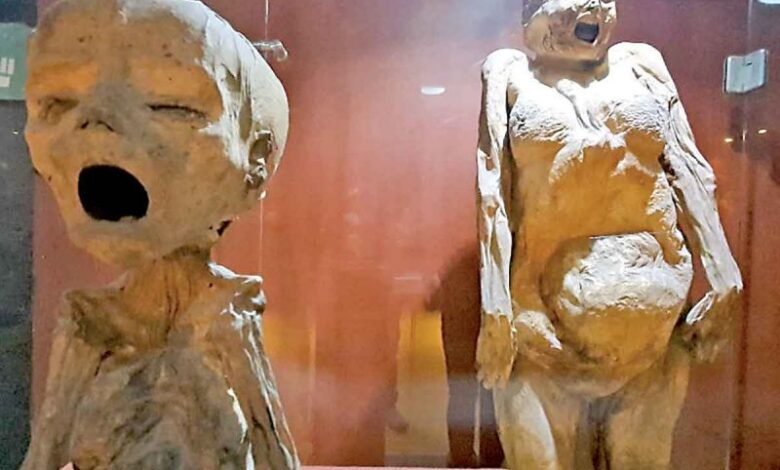 Almas en pena rondan en el antiguo Museo de Las Momias
