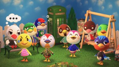 Animal Crossing: New Horizons Player visualiza un mecánico de observación de aves