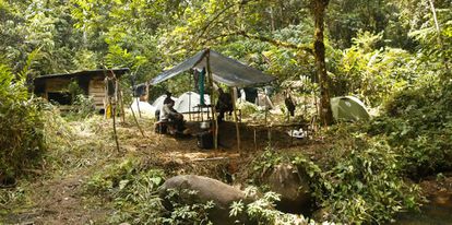 Campamento de la última expedición española en Guinea Ecuatorial en busca de fósiles del ancestro común entre chimpancés y humanos.