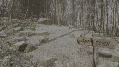 Dev Blue Box abandonado habla después de las amenazas de muerte
