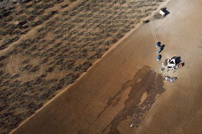 Operarios y agricultores, durante las labores de adecuación de un antiguo pozo para su uso en el riego de cultivo.
