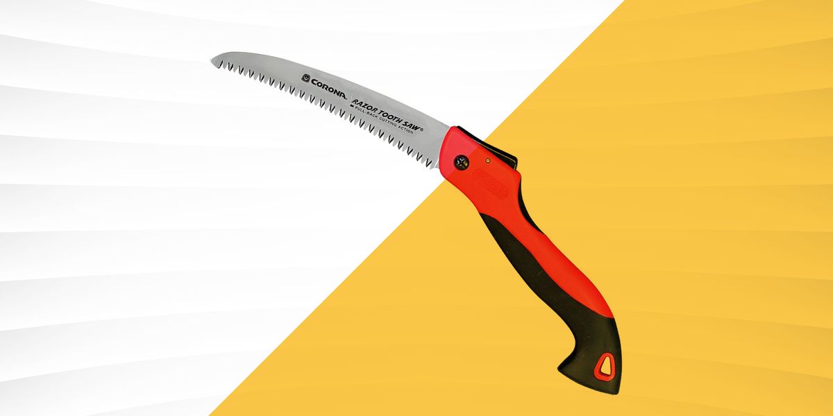 Las mejores sierras de podar para mantener sus árboles limpios y ordenados