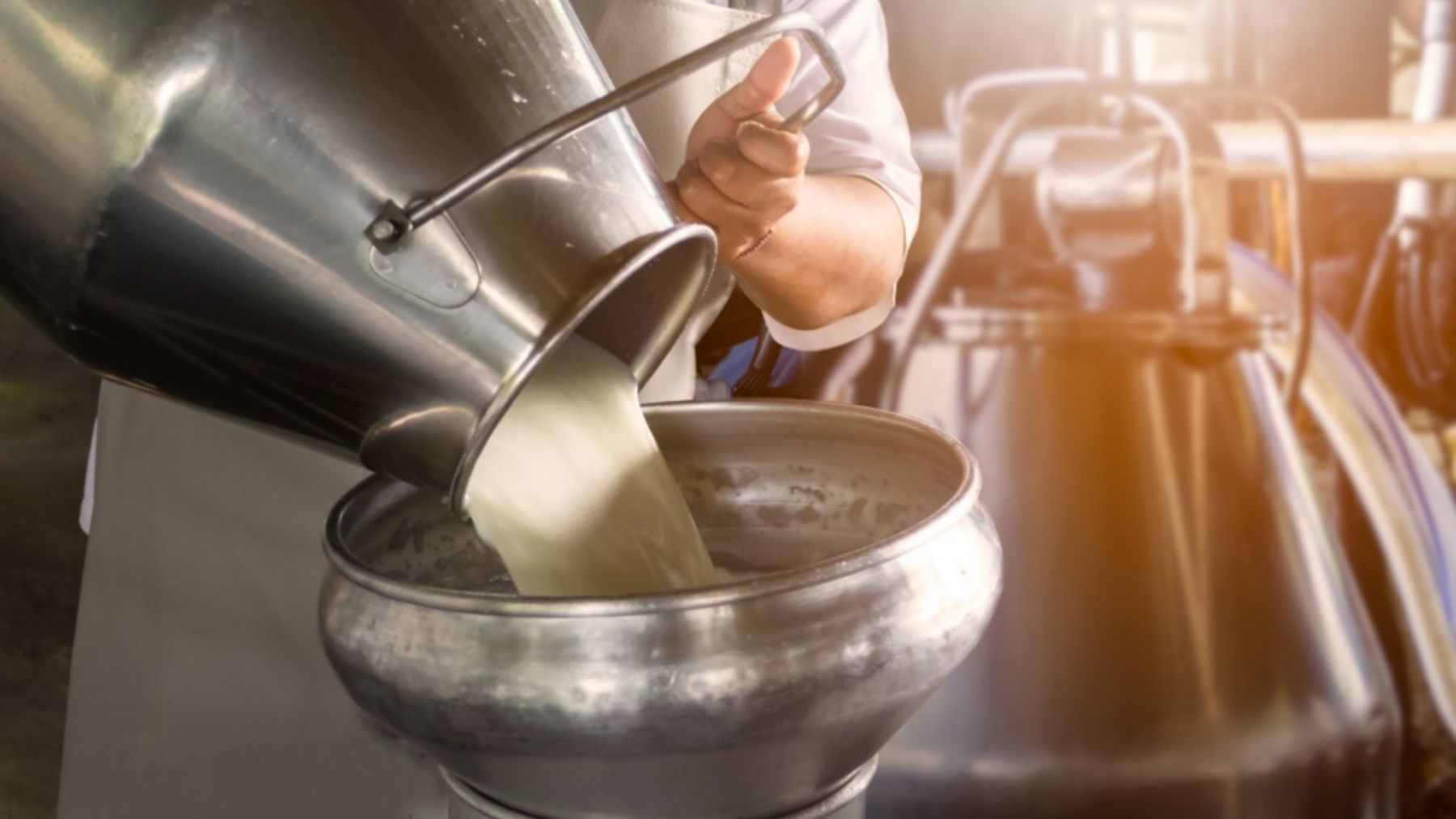 Leche de vaca: mitos, ventajas e inconvenientes