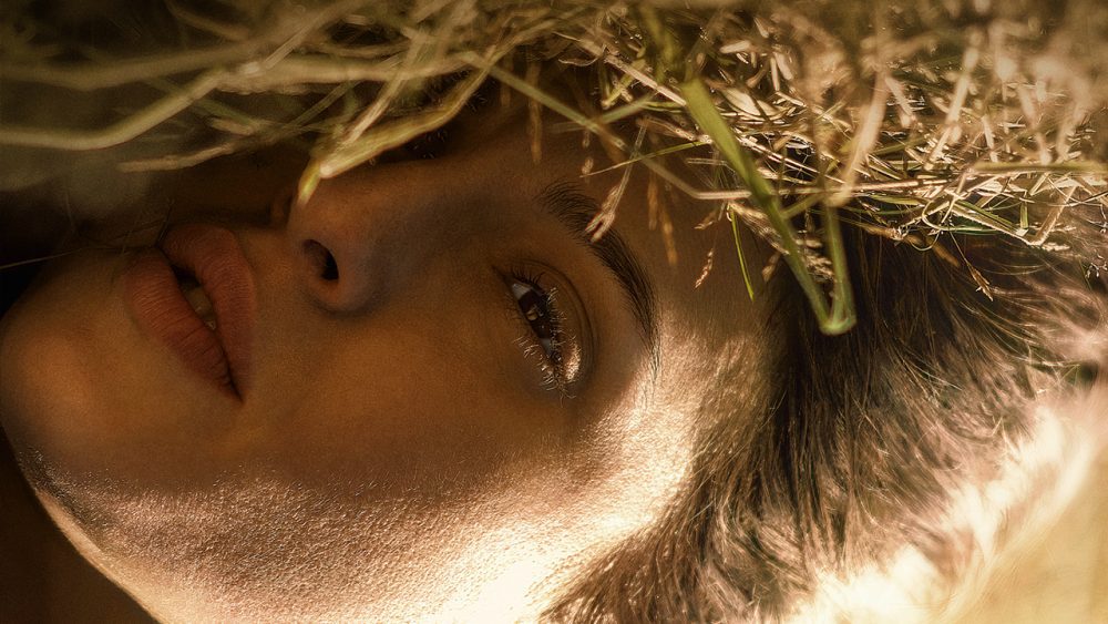 Fever Dream Nuevo en Netflix 13 de octubre de 2021