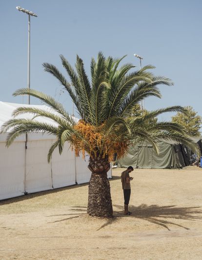 Zona de la base destinada al campamento para militares evacuados de Afganistán.