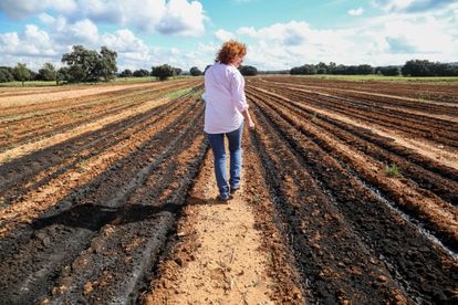 La alcaldesa de Balsa de Ves en uno de los bancales contaminados.Fotógrafo: Aitor Sol.