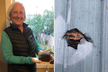 Ruth Hamilton con el meteorito que cayó sobre su cama.