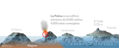 Detalle del artículo del fin de semana.