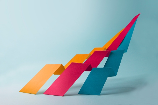 ¿Debería su empresa utilizar un modelo de precios flexible?