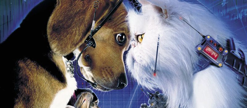 gatos y perros dejando netflix