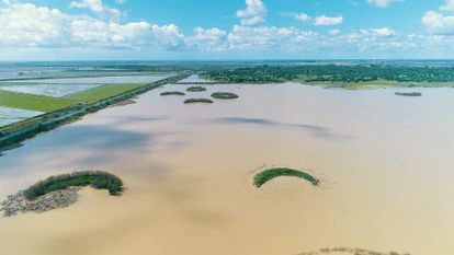 Los proyectos Doñana (en la imagen) y Albufera buscan devolver a las cuencas de los ríos Guadalquivir y Júcar todo el agua que contienen las cervezas elaboradas por Heineken España en Andalucía y la Comunidad Valenciana.