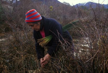 Cristina Calderón, indígena Yagán.