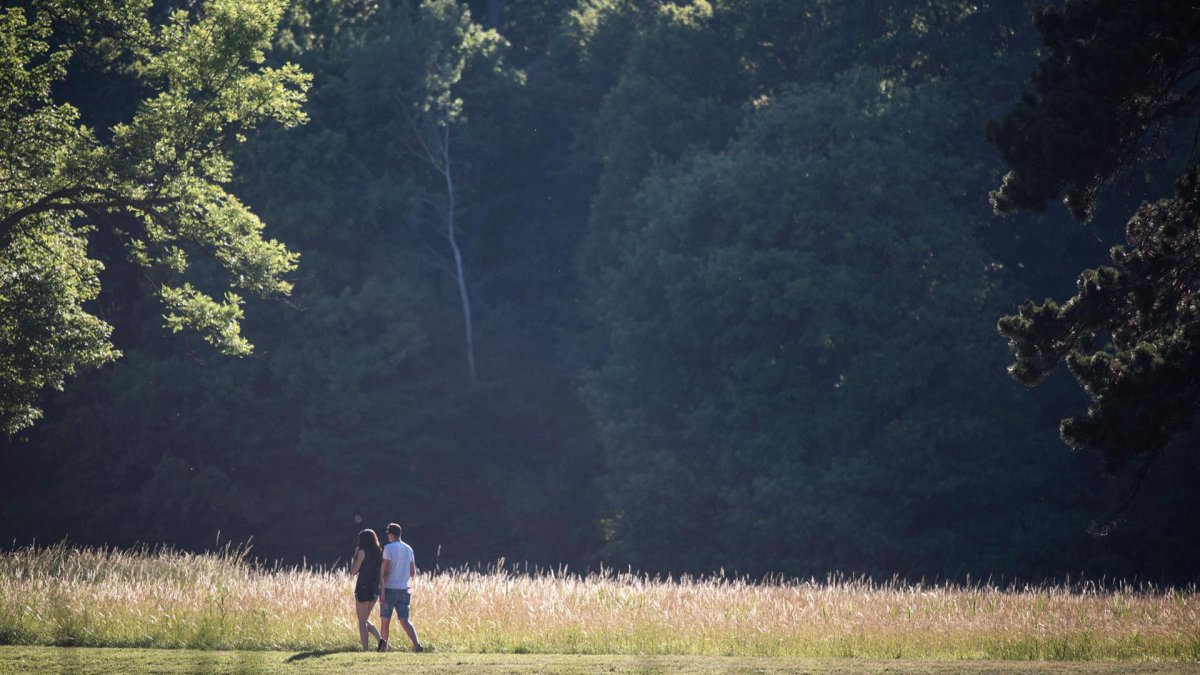 Una región en Austria impone el confinamiento para los no vacunados contra el COVID-19