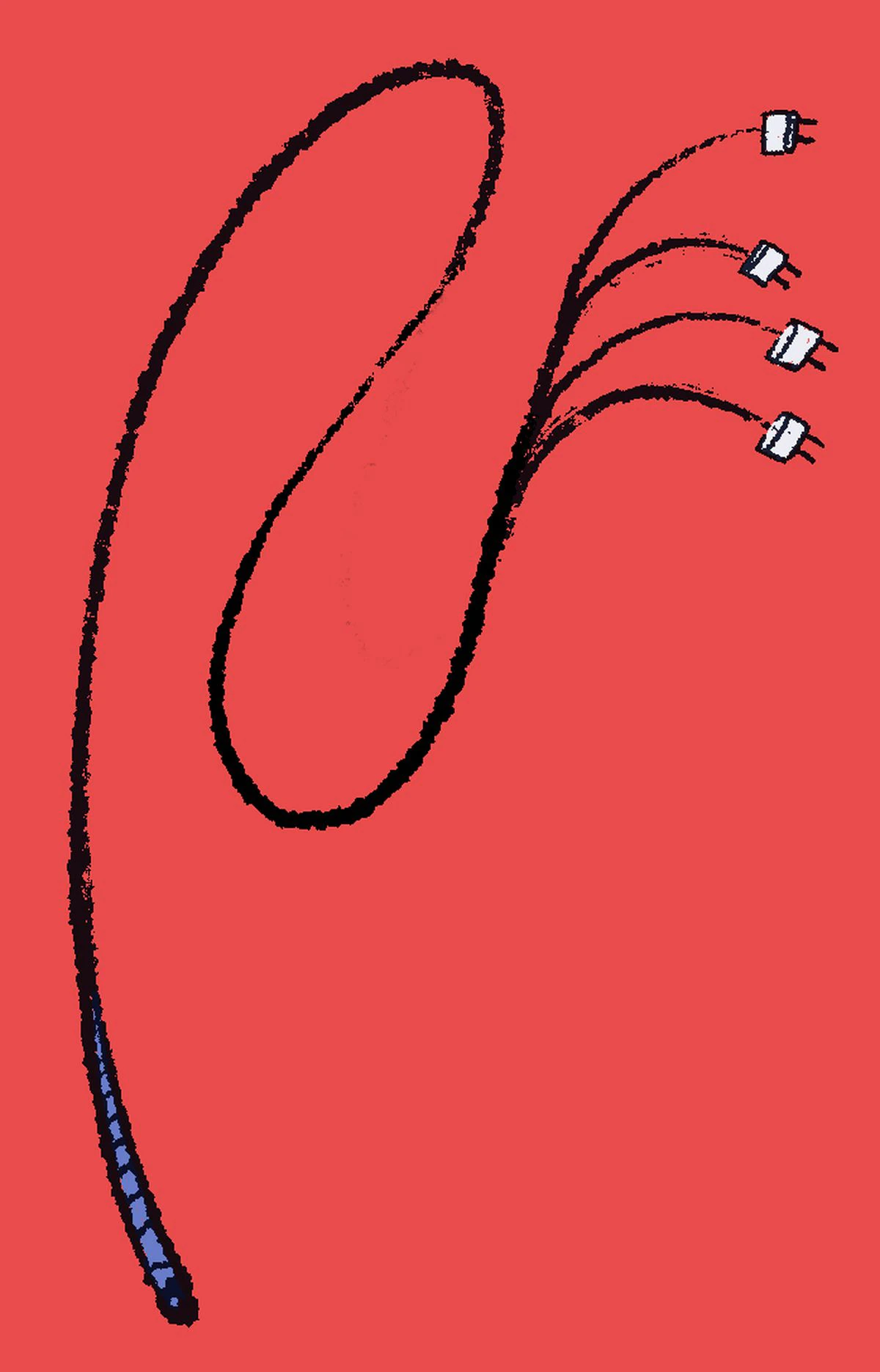 ¿Entrará la factura de la luz en las urnas?