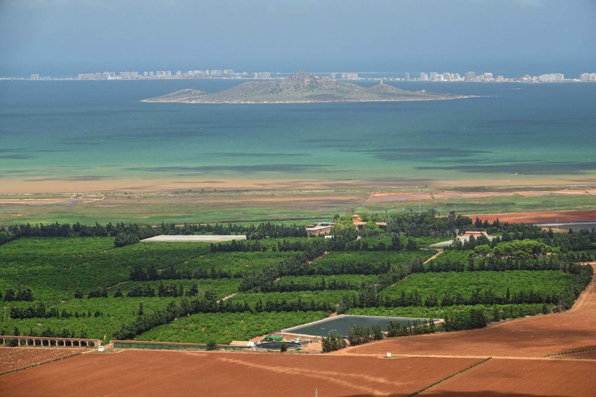 La justicia obliga por primera vez a arrancar regadíos ilegales junto al mar Menor